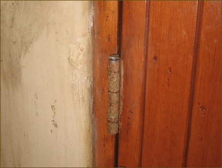 Repaired Wood Finish